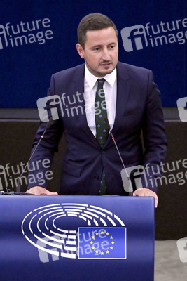 Plenartagung zur EU-Waldstrategie für 2030 im EU-Parlament in Straßburg