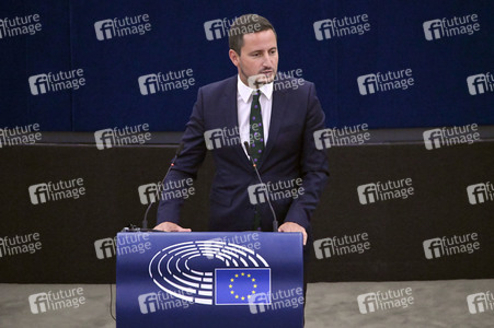 Plenartagung zur EU-Waldstrategie für 2030 im EU-Parlament in Straßburg