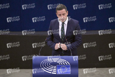 Plenartagung zur EU-Waldstrategie für 2030 im EU-Parlament in Straßburg