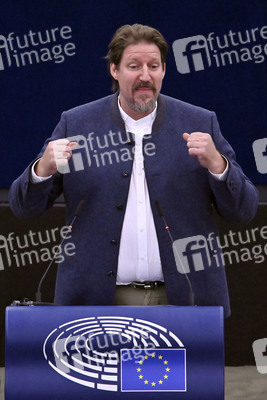 Plenartagung zur EU-Waldstrategie für 2030 im EU-Parlament in Straßburg