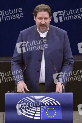 Plenartagung zur EU-Waldstrategie für 2030 im EU-Parlament in Straßburg