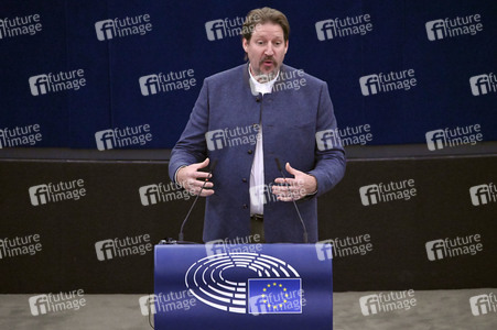 Plenartagung zur EU-Waldstrategie für 2030 im EU-Parlament in Straßburg