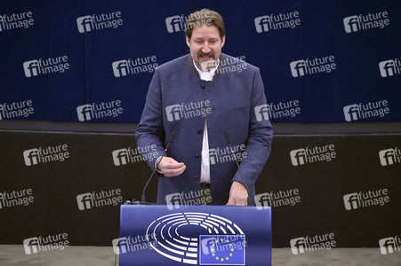 Plenartagung zur EU-Waldstrategie für 2030 im EU-Parlament in Straßburg