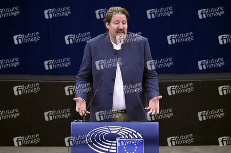 Plenartagung zur EU-Waldstrategie für 2030 im EU-Parlament in Straßburg