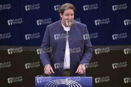 Plenartagung zur EU-Waldstrategie für 2030 im EU-Parlament in Straßburg