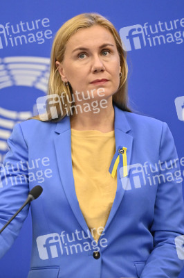 Pressekonferenz zu erneuerbaren Energien im EU-Parlament in Straßburg