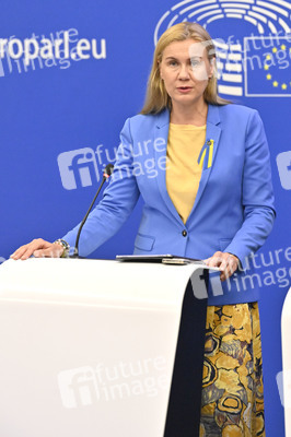 Pressekonferenz zu erneuerbaren Energien im EU-Parlament in Straßburg