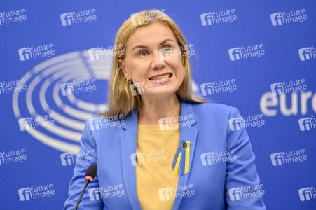 Pressekonferenz zu erneuerbaren Energien im EU-Parlament in Straßburg