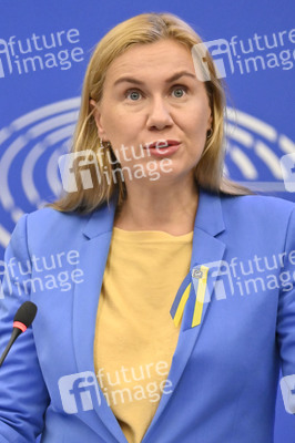 Pressekonferenz zu erneuerbaren Energien im EU-Parlament in Straßburg