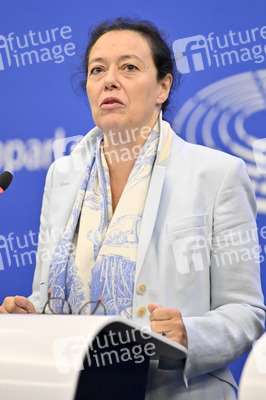Pressekonferenz zum Verhalten Ungarns im EU-Parlament in Straßburg