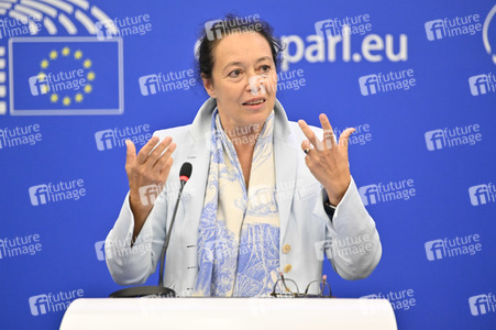 Pressekonferenz zum Verhalten Ungarns im EU-Parlament in Straßburg