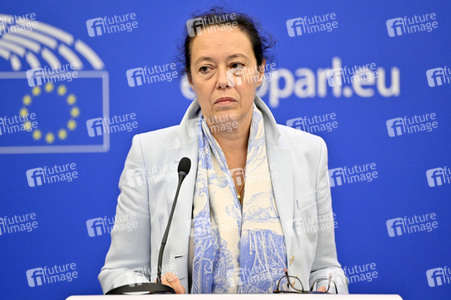 Pressekonferenz zum Verhalten Ungarns im EU-Parlament in Straßburg