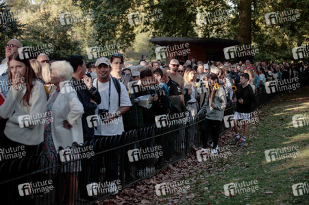 Menschenmassen warten darauf einen Blick auf den Sarg der Queen werfen zu können in London