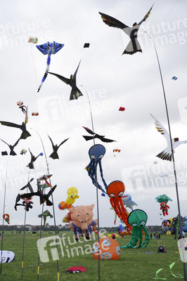 Festival der Riesendrachen in Berlin