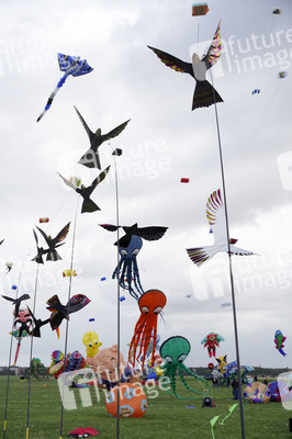 Festival der Riesendrachen in Berlin