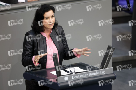 53. Sitzung des Deutschen Bundestages in Berlin