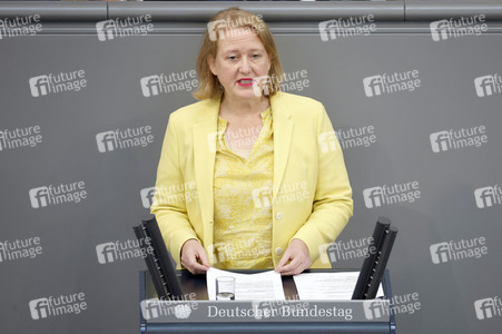 55. Sitzung des Deutschen Bundestages in Berlin