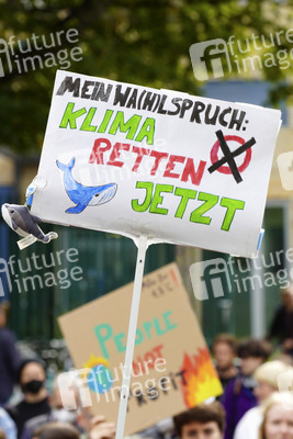 11. Globaler Klimastreik von Fridays for Future in Hannover