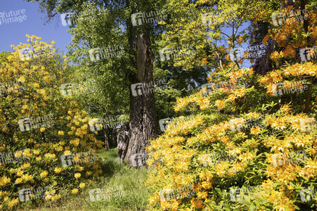 Bodypainting in Nature Kalender 2023