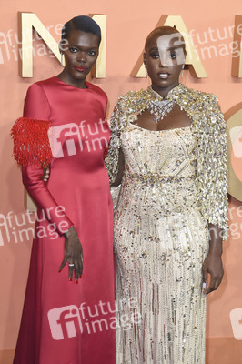 Filmpremiere 'The Woman King' in London