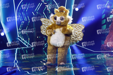 TV-Show 'The Masked Singer' in Köln