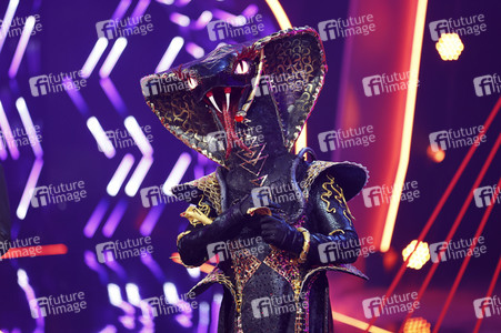 TV-Show 'The Masked Singer' in Köln