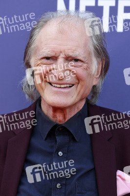 Filmpremiere 'Pinocchio', BFI London Film Festival 2022