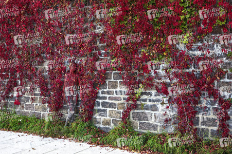 NATURE ART: Red Color Wall Bodypainting
