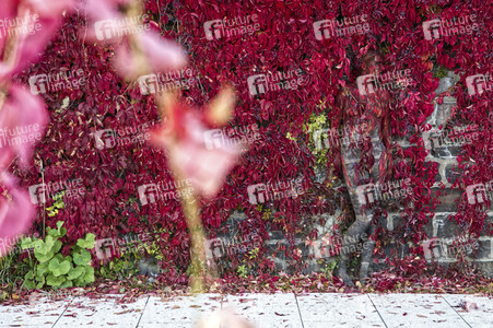 NATURE ART: Red Color Wall Bodypainting