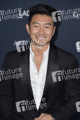 LACMA Art+Film Gala 2022 in Los Angeles