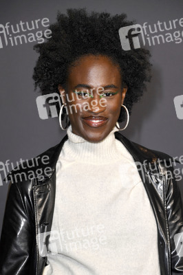 Event-Screening 'Black Panther: Wakanda Forever' in Berlin