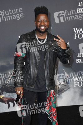 Event-Screening 'Black Panther: Wakanda Forever' in Berlin