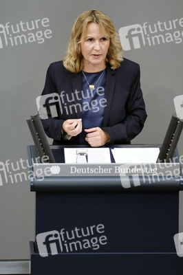 65. Sitzung des Deutschen Bundestages in Berlin