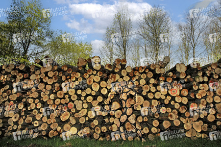 FARBKÖRPER Kalender 2023: Camouflage Art-Bodypainting