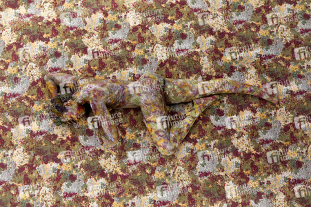 FARBKÖRPER Kalender 2023: Camouflage Art-Bodypainting