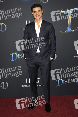 Filmpremiere 'Verwünscht nochmal' in Los Angeles