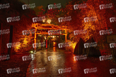 Eröffnung des Christmas Garden 2022 in Hannover