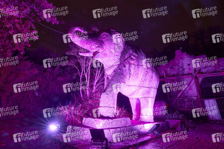 Eröffnung des Christmas Garden 2022 in Hannover