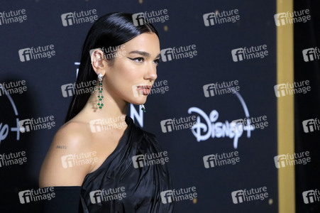 Konzert 'Elton John Live: Farewell from Dodger Stadium' in Los Angeles