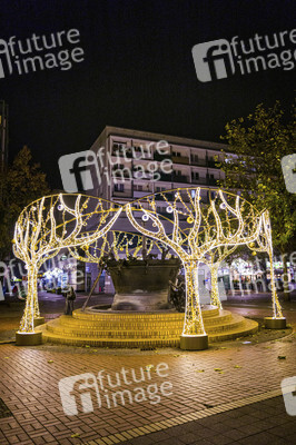 Lichterwelt Magdeburg