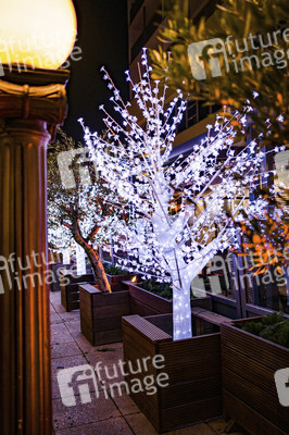 Lichterwelt Magdeburg