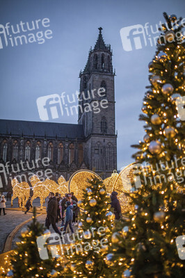 Lichterwelt Magdeburg