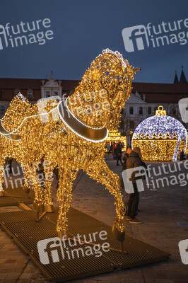 Lichterwelt Magdeburg