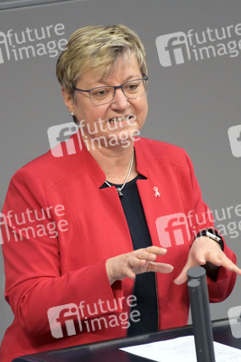 73. Sitzung des Deutschen Bundestages in Berlin