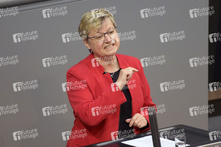 73. Sitzung des Deutschen Bundestages in Berlin