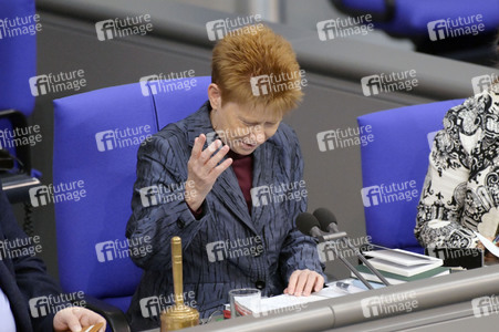 73. Sitzung des Deutschen Bundestages in Berlin