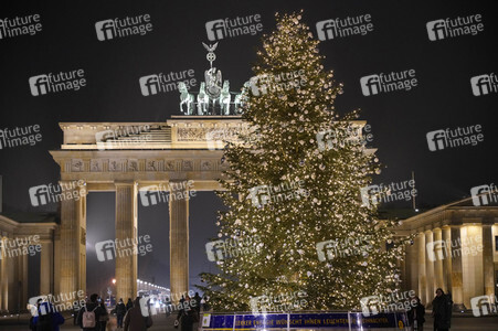 Weihnachtsbaum in Berlin
