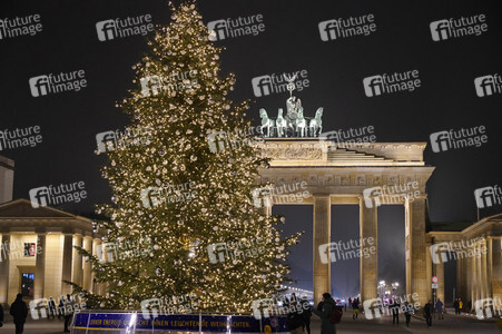 Weihnachtsbaum in Berlin