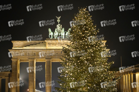 Weihnachtsbaum in Berlin