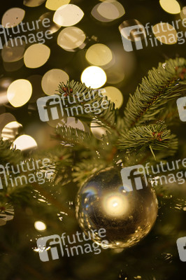 Weihnachtsbaum in Berlin